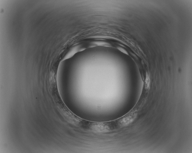 X0000083580521200702091122
