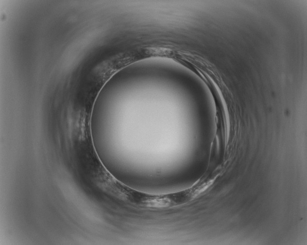 X0000083580525200702091122