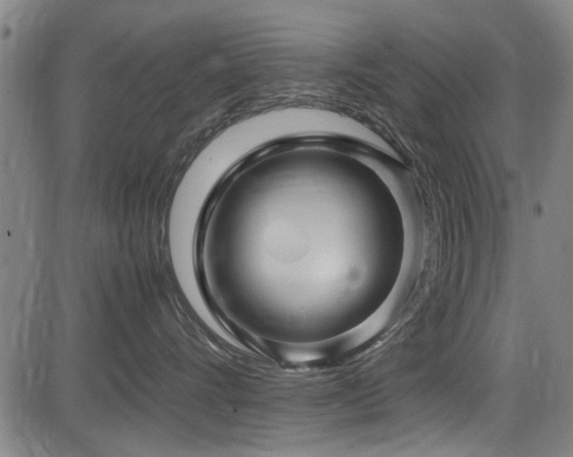 X0000083580528200702091121