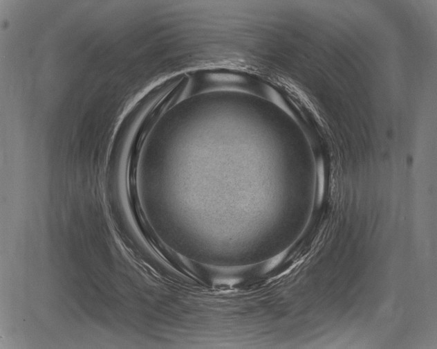 X0000083580532200702091121