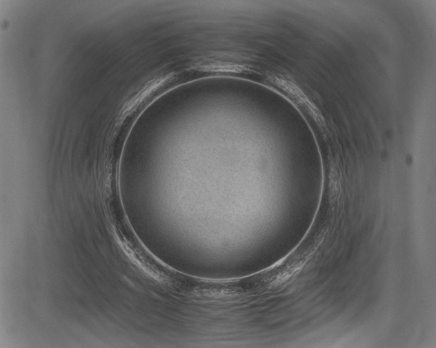 X0000083580533200702091121