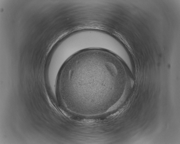 X0000083580534200702091121