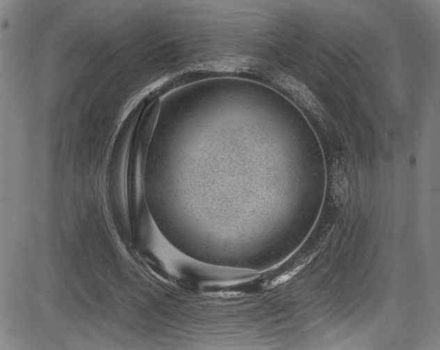 X0000083580536200702091121