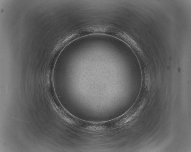 X0000083580537200702091121