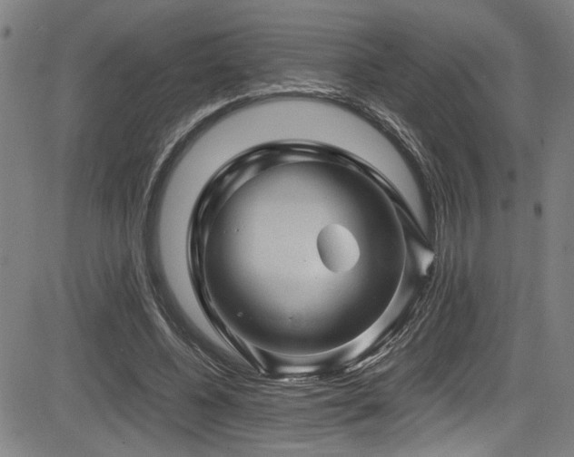X0000083580540200702091121