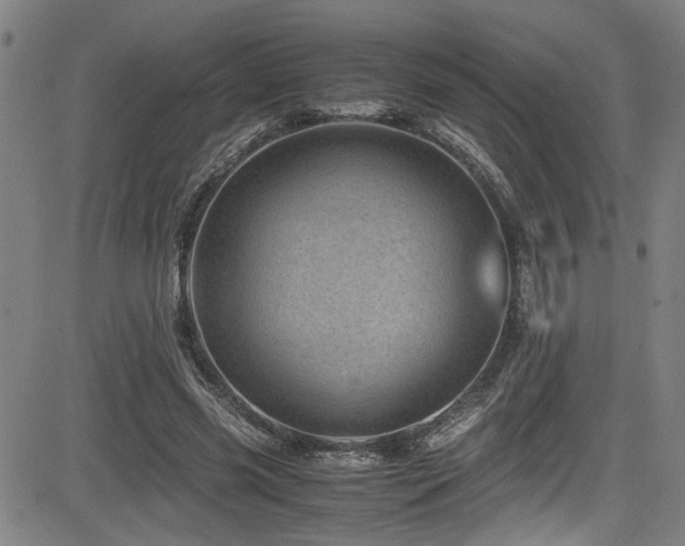 X0000083580541200702091121
