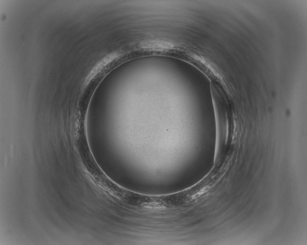 X0000083580544200702091121