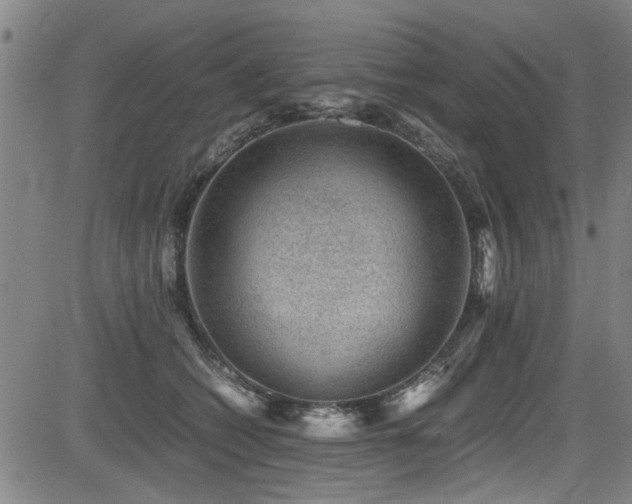 X0000083580562200702091121