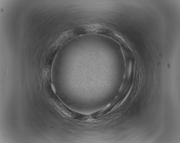 X0000083580601200702091120