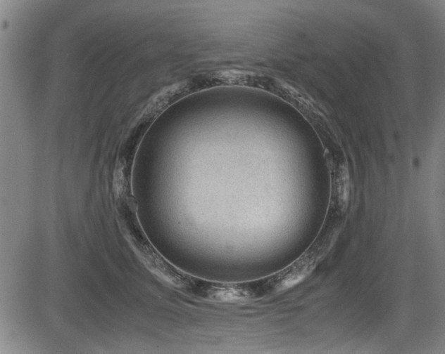 X0000083580611200702091120