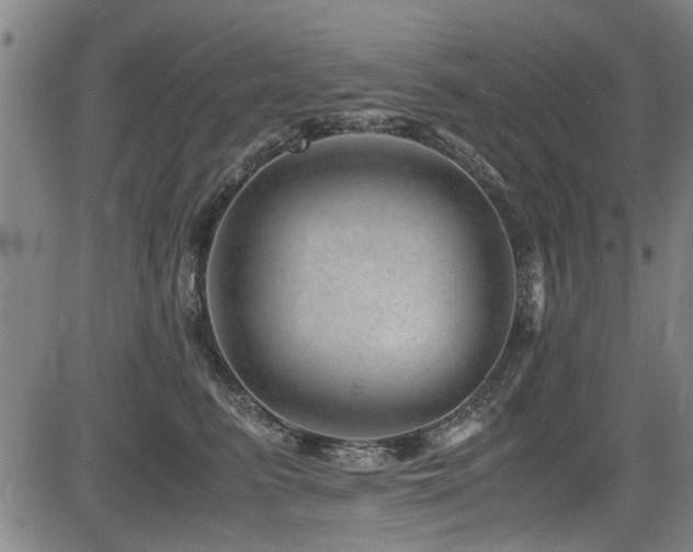 X0000083580615200702091120