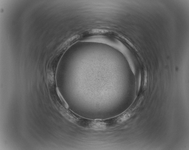 X0000083580617200702091120