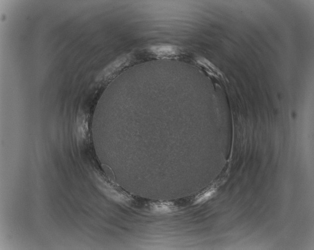 X0000083580618200702091120