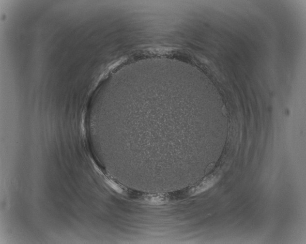 X0000083580624200702091120