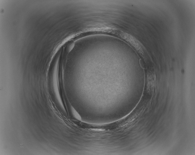 X0000083580628200702091119