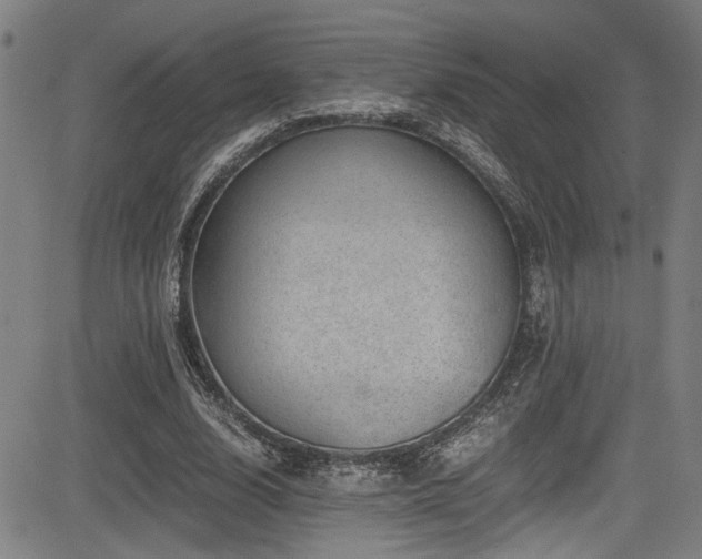 X0000083580632200702091119