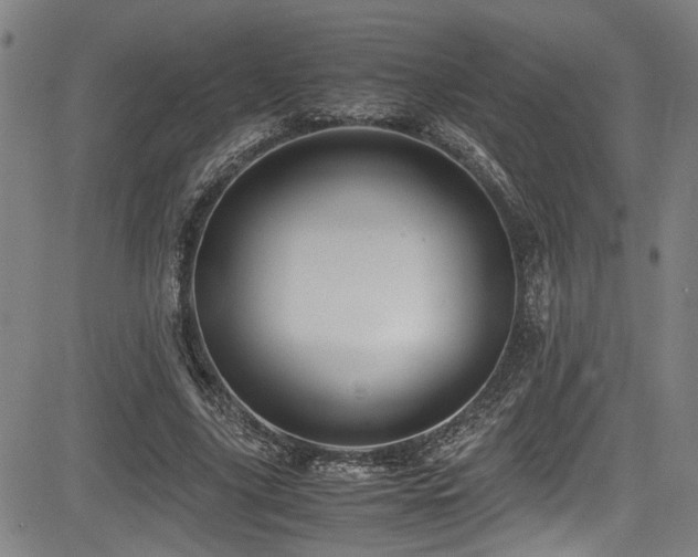 X0000083580635200702091119