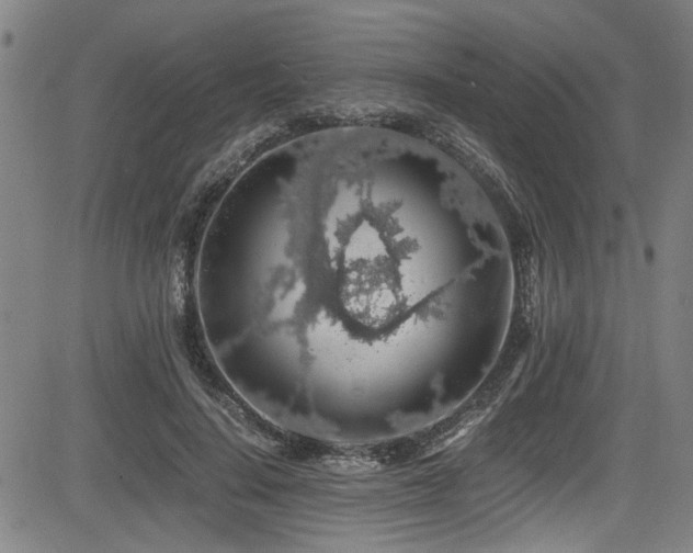 X0000083580644200702091119