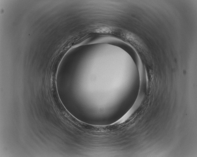 X0000083580646200702091119