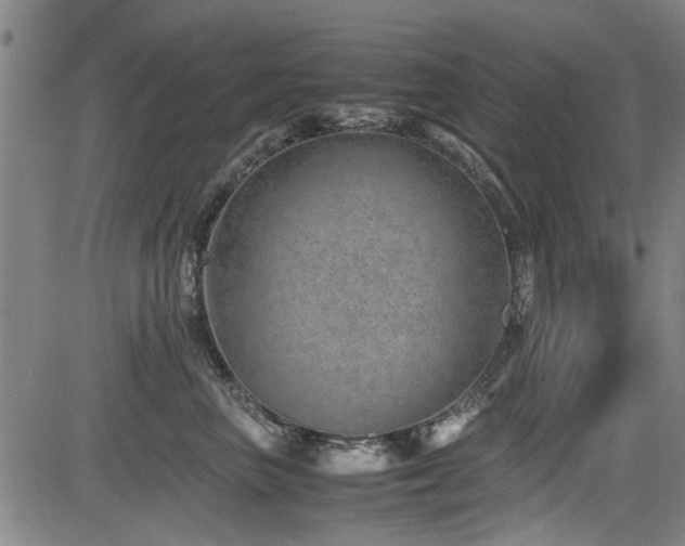 X0000083580667200702091120