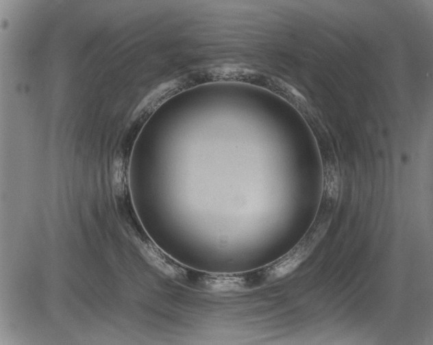 X0000083580670200702091120
