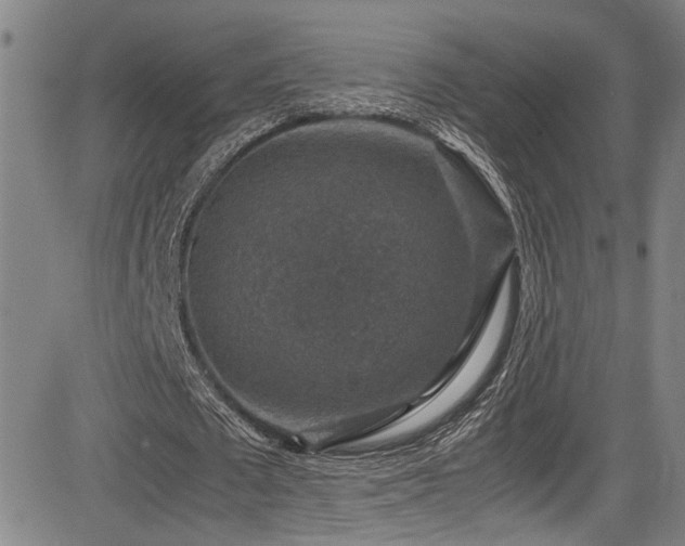 X0000083580673200702091119