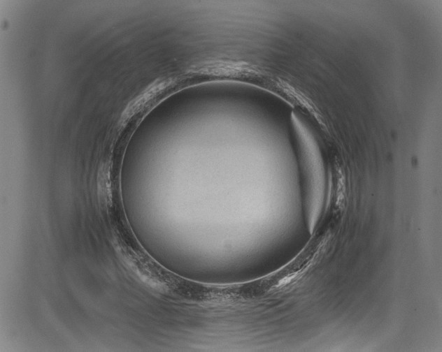 X0000083580682200702091119