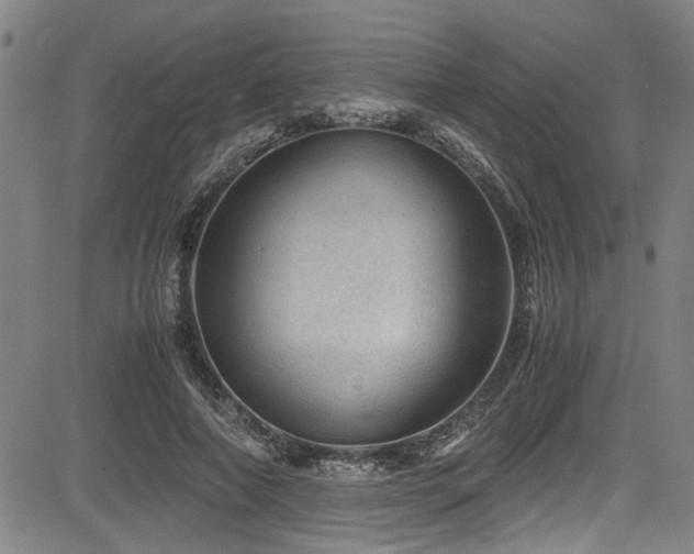 X0000083580690200702091119