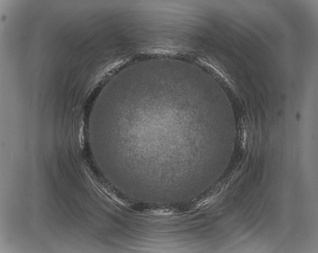 X0000083580692200702091119
