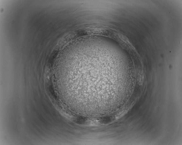 X0000083580701200702091119