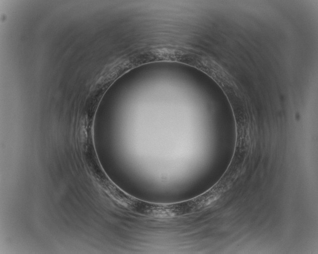 X0000083580702200702091119