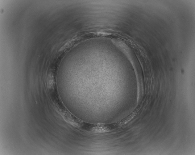 X0000083580704200702091119
