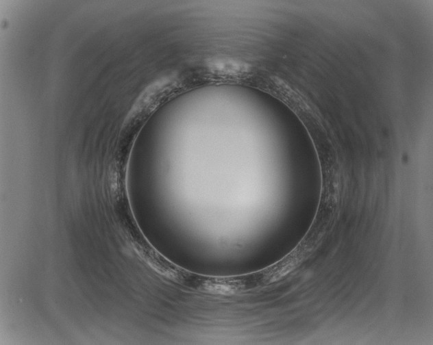 X0000083580706200702091119