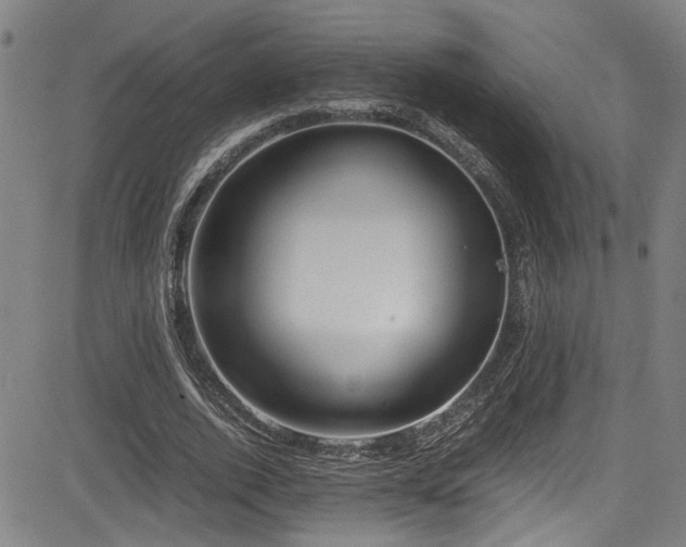 X0000083580728200702091118