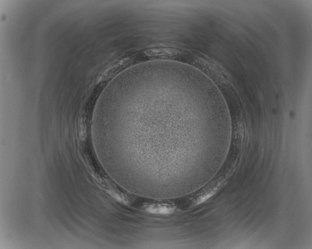 X0000083580751200702091118