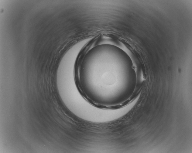 X0000083580756200702091118