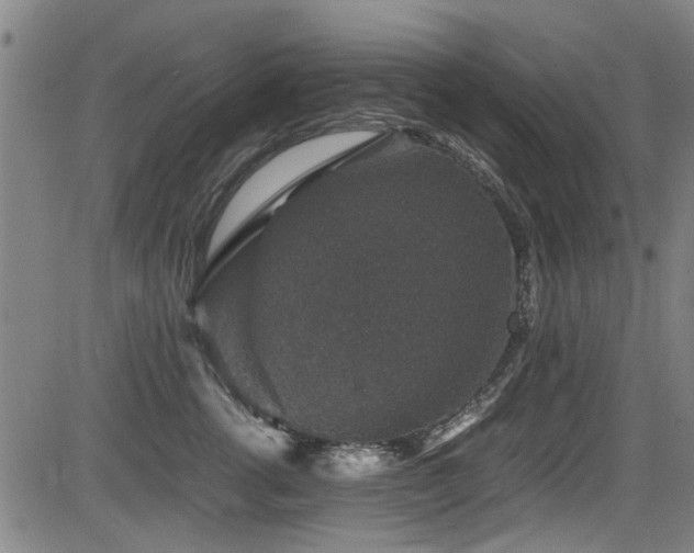 X0000083580762200702091118
