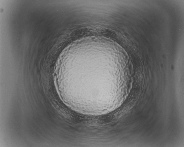 X0000083580769200702091118
