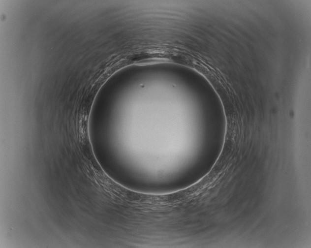 X0000083580770200702091118