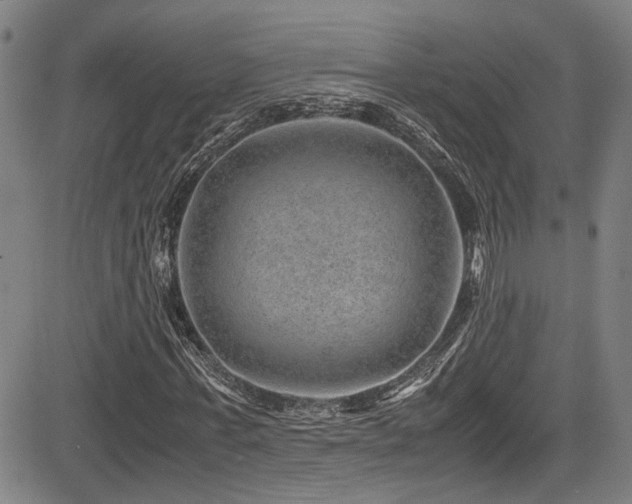 X0000083580771200702091118