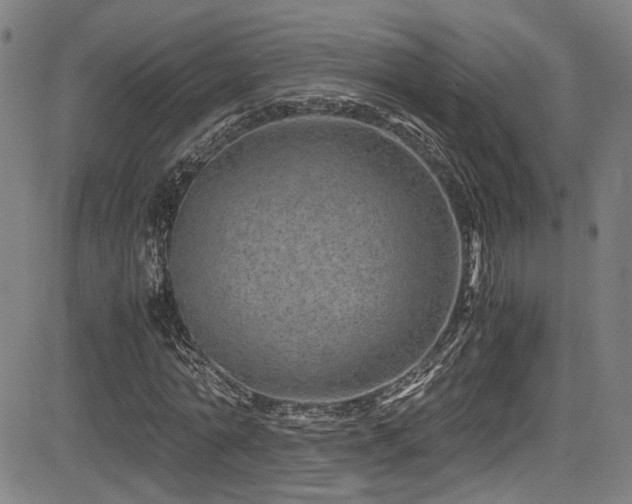X0000083580774200702091117