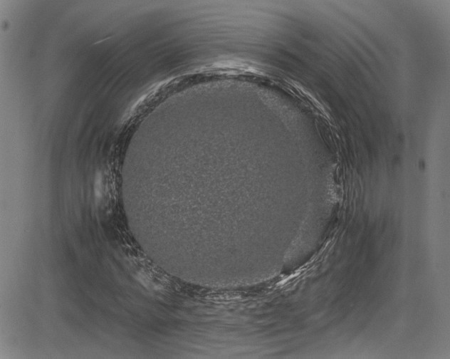 X0000083580776200702091117