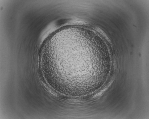 X0000083580781200702091117