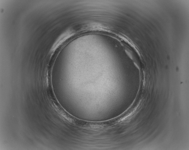 X0000083580782200702091117