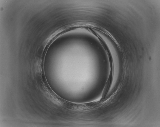 X0000083580786200702091117