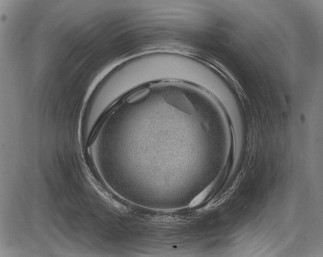 X0000083580788200702091117