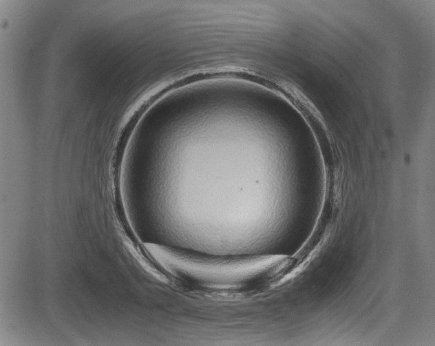 X0000083580789200702091117