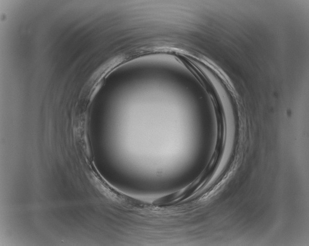 X0000083580801200702091117