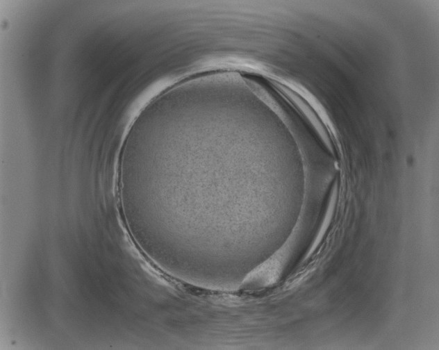 X0000083580815200702091117