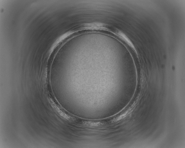 X0000083580831200702091116